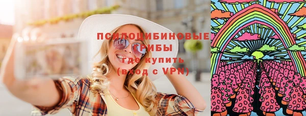синтетический гашиш Богородицк