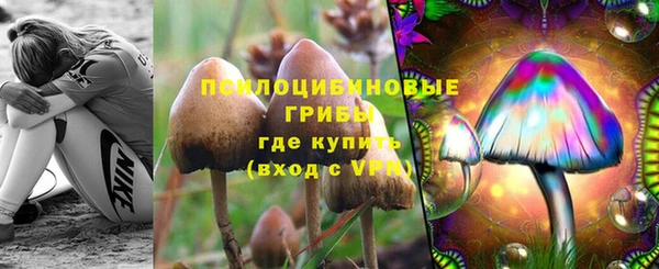 МДМА Богданович