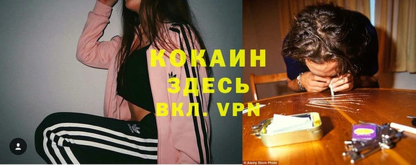 синтетический гашиш Богородицк